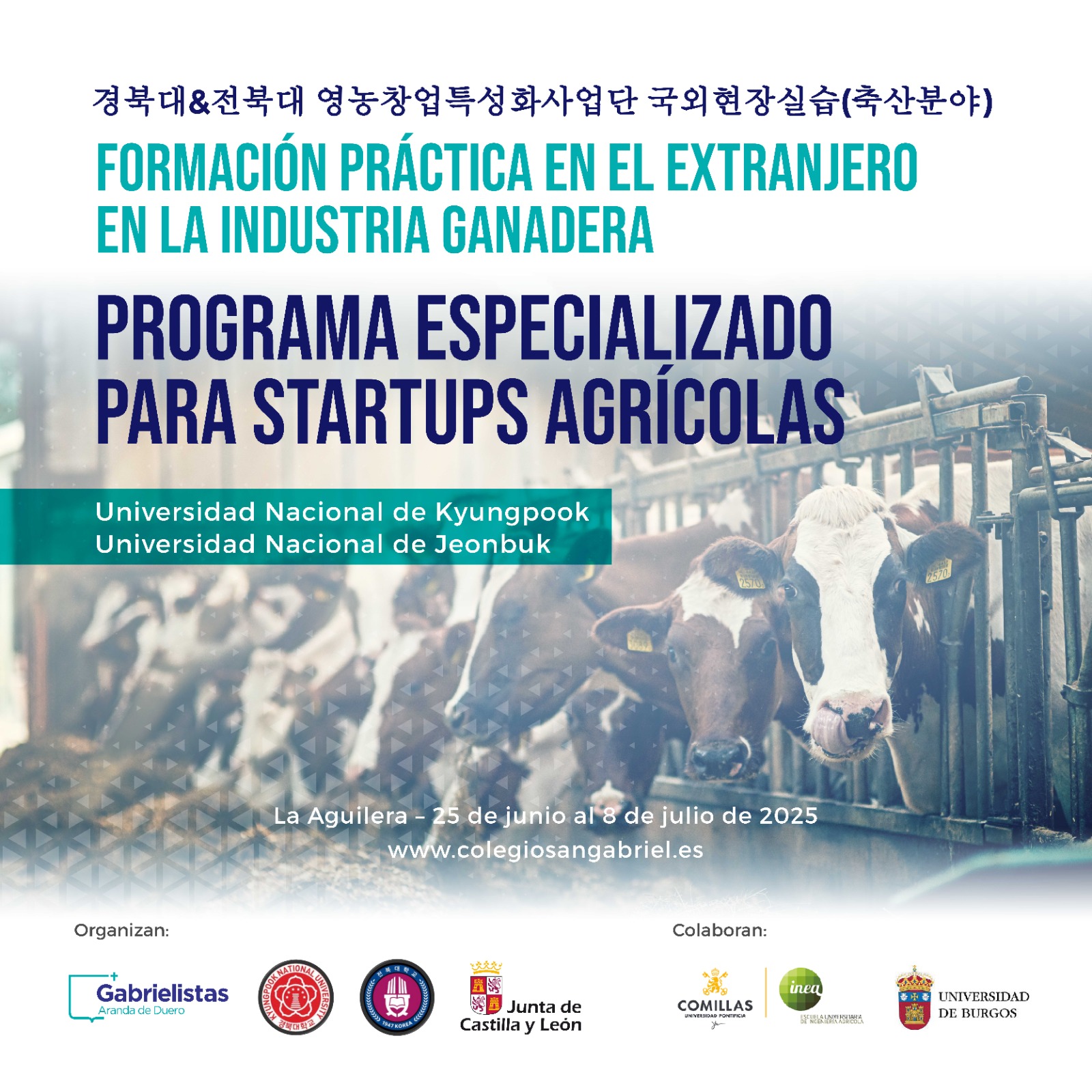 Inauguración curso de verano universidades Corea del Sur