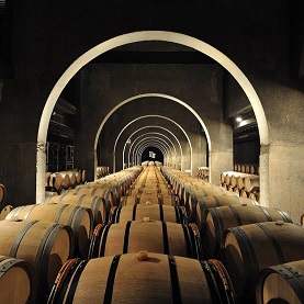 Visita Bodegas Condado de Haza y Pago de los Capellanes