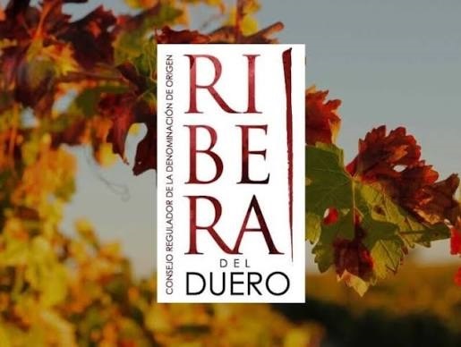 Visita Bodegas Portia y Dominio de Cair